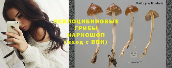 марихуана Белокуриха