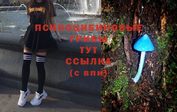 эйфоретик Беломорск